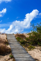 Wooden  Pathway to the beach