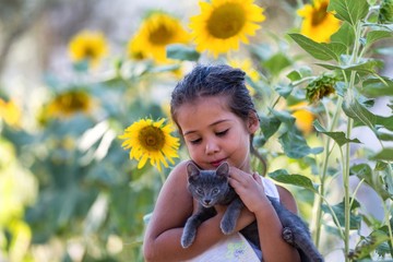 Little girl and Cat in sunflower field