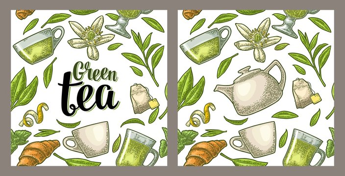 Fototapeta Bezszwowa deseniowa herbata z gałąź i liściem. Grawerowanie vintage wektor