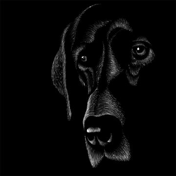 The Vector logo big dog for T-shirt design or outwear.  Hunting style big dog background.