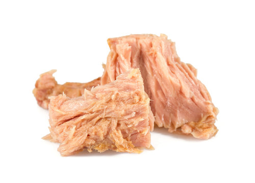 canned tuna fish isoalted on  white