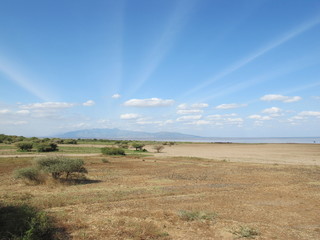 Obraz premium Lake Manyara