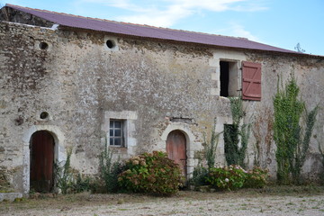 Fototapeta na wymiar Bouaye - Château de la Mévellière