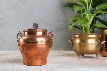 Vintage copper can and green plants