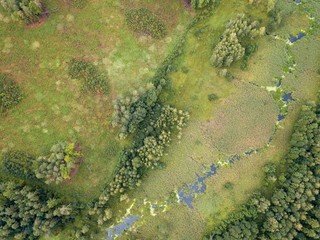 Beautiful green drone landscape with small wild river in forest