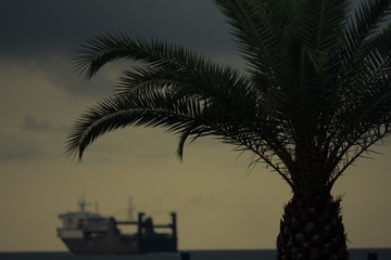 Obraz premium A frame of palm branches and a blurred cargo ship in the background