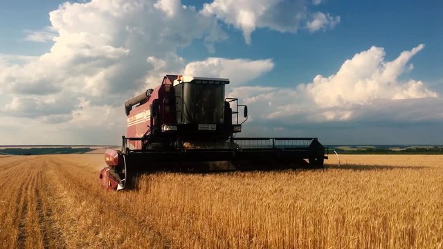 Combine harvester gathers the wheat crop. Wheat harvesting shears. Combines in the field Food industry concept.
