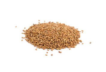 Alfalfa Seeds, Medicago or Lucerne Isolated on White Background