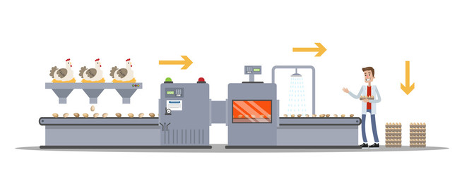 Naklejka premium Chicken egg factory. Egg production on machinery line