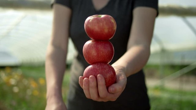 Close up shot of a woman on an organic farm, balancing two apples on top of one another in her hand, adds another apple on top