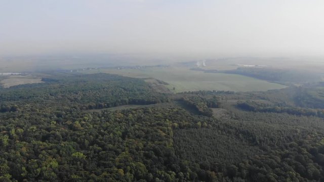 Illegal felling of forests, deforestation areas. View from the air, fly forward technique, 4k