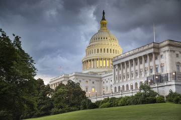 United States Capitol and the Senate Building, Washington DC USA