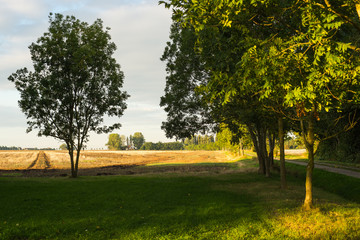 Obraz premium Wiek - Rügen