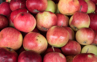 Apples harvest top view texture.