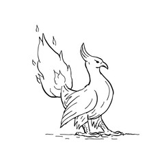 Phoenix Burning Tail Drawing
