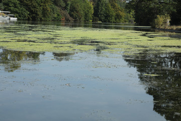 bois de boulogne
