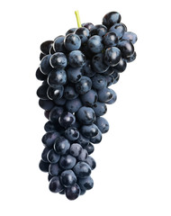 Bunch of fresh ripe juicy grapes isolated on white