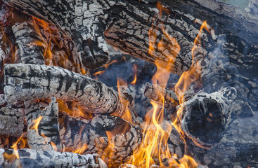 Drewno palące się w ognisku