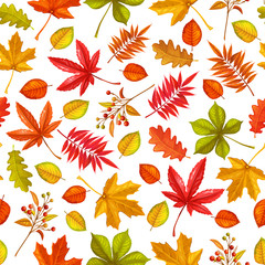Obraz premium Seamless pattern with autumn leaves