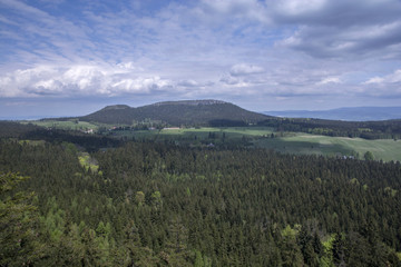 Fototapeta na wymiar Krajobraz z lasem i górami