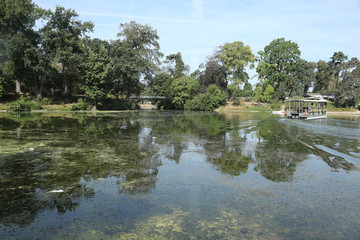 bois de boulogne