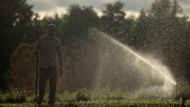 Rugged, handsome farmer in a cap walks his till through the fields of an organic farm during dusk, while the sprinklers spray in the background