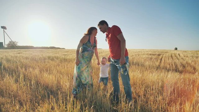 Young parents go with the son on the wheat field in the evening and funny lift on hands of the child. The little son is happy when he is played.