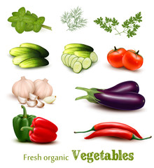 Big set of colorful vector vegetables and herbs.