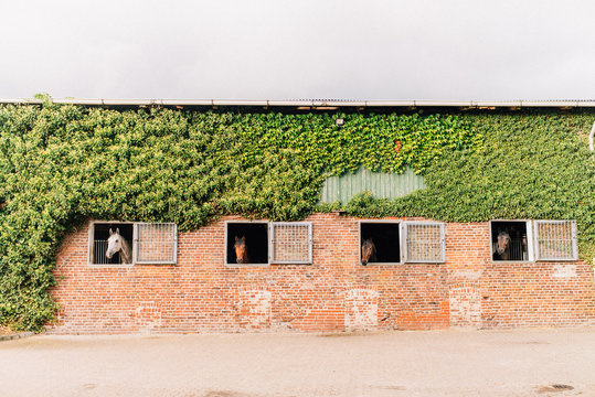 Impressionen vom Reiterhof