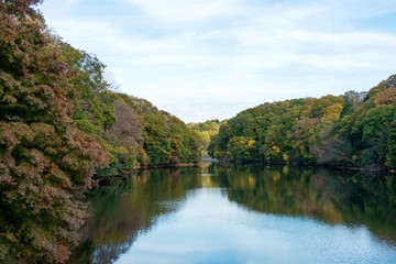 Fototapeta na wymiar 紅葉見頃の湖畔の情景