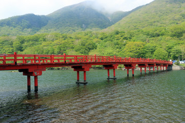 赤城神社の啄木鳥橋