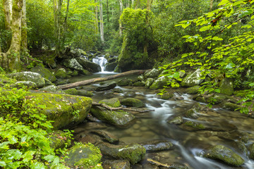 Roaring Fork - A creek in the woods with small waterfall in the Smoky Mountains.