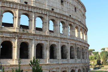Fototapeta na wymiar colosseum in rome italy