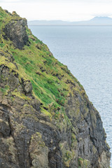 Landscape and nature on the south coast of Iceland