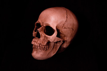 Human Red Skull on Dark Solid Background