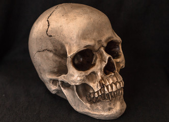 Obraz premium Human Skull on Dark Solid Background