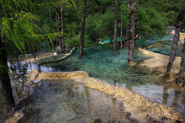 Blue colorful pools of clear water in Huanglong Scenic Area in Sichuan Province, China. Beautiful and exotic natural geological landforms caused by erosion over time, yellow dragon natural terraces