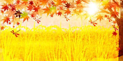 稲　田舎　秋　背景  © J BOY