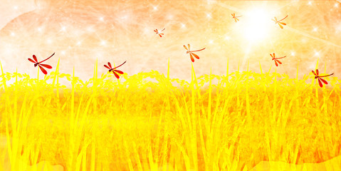 稲　田舎　秋　背景  © J BOY