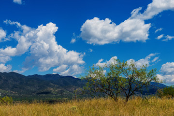 Obraz premium Arizona landsacpe