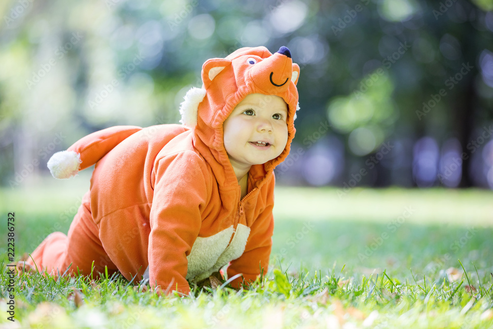 Wall mural Cute baby girl dressed in fox costume crawling on lawn in park