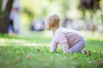 Baby girl crawling on lawn in park and looking at something aside