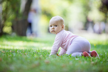 Cute baby girl crawling on lawn in park