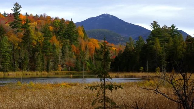 Autumn / Fall Leaf Foliage near Whiteface Mountain from Little Cherry Patch pond. The Adirondack Mountains of Upstate New York