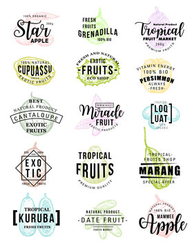 Exotic fruits farm market vector sketch lettering