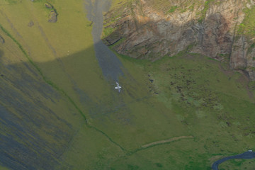 Iceland landscape and nature in summer