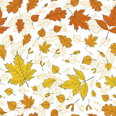 Seamless vector floral pattern with colorful autumn leaves on white background.