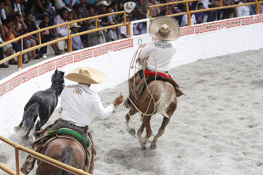 Charros Lazando Caballo