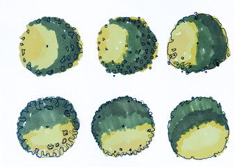 tree Illustration for Design plan Of architecture and landscape. tree top view watercolor presentation plan set isolated on white background.