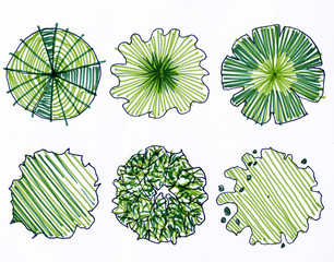 tree Illustration for Design plan Of architecture and landscape. tree top view watercolor presentation plan set isolated on white background.